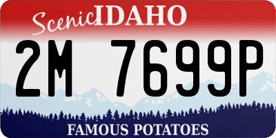 ID license plate 2M7699P