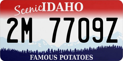 ID license plate 2M7709Z