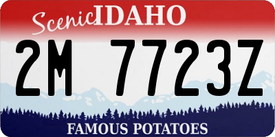 ID license plate 2M7723Z