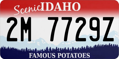 ID license plate 2M7729Z