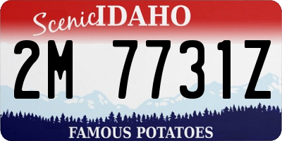 ID license plate 2M7731Z