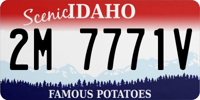 ID license plate 2M7771V