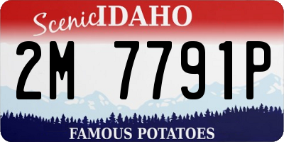 ID license plate 2M7791P