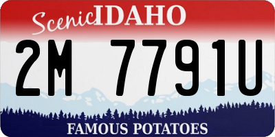 ID license plate 2M7791U