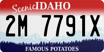 ID license plate 2M7791X