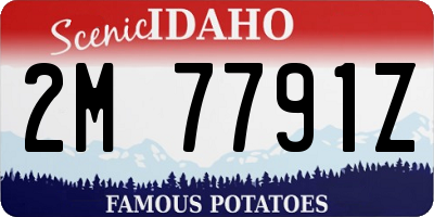 ID license plate 2M7791Z