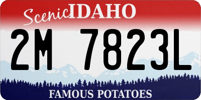ID license plate 2M7823L