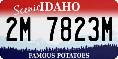 ID license plate 2M7823M