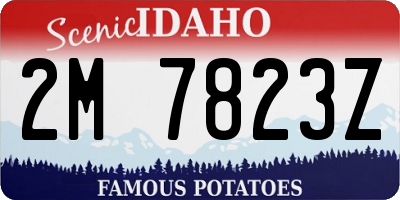 ID license plate 2M7823Z