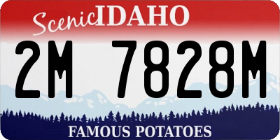 ID license plate 2M7828M