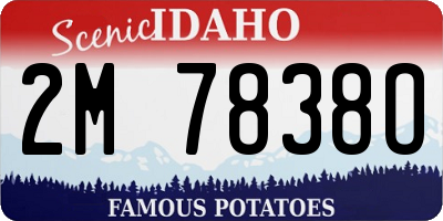 ID license plate 2M7838O