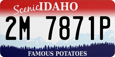 ID license plate 2M7871P