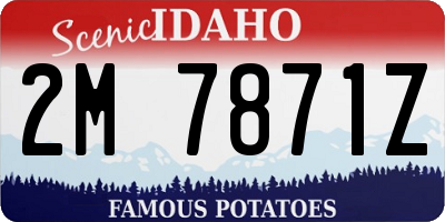 ID license plate 2M7871Z
