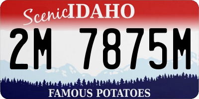ID license plate 2M7875M