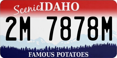 ID license plate 2M7878M