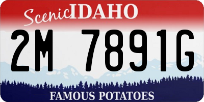 ID license plate 2M7891G