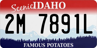 ID license plate 2M7891L