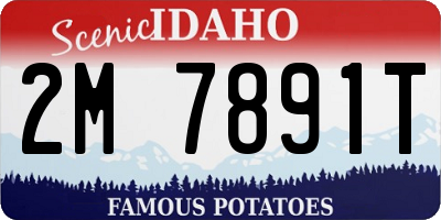 ID license plate 2M7891T