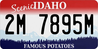 ID license plate 2M7895M