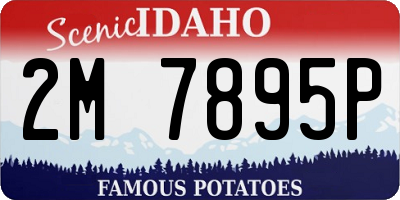 ID license plate 2M7895P