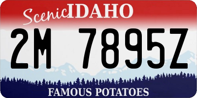 ID license plate 2M7895Z