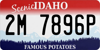 ID license plate 2M7896P