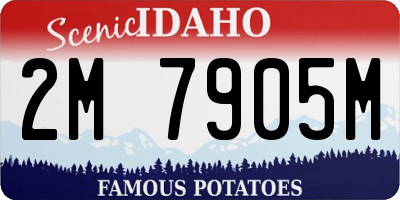 ID license plate 2M7905M