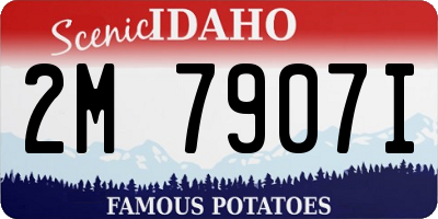ID license plate 2M7907I