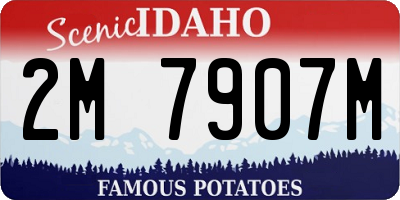 ID license plate 2M7907M