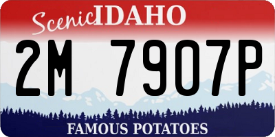 ID license plate 2M7907P