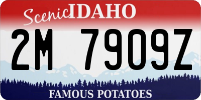 ID license plate 2M7909Z
