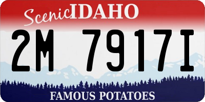 ID license plate 2M7917I