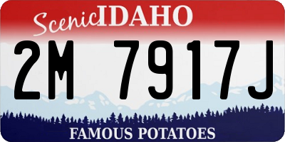 ID license plate 2M7917J
