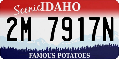 ID license plate 2M7917N