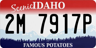 ID license plate 2M7917P