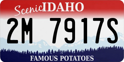 ID license plate 2M7917S