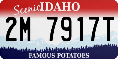 ID license plate 2M7917T