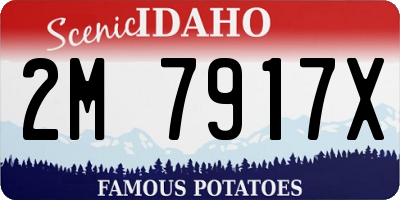 ID license plate 2M7917X