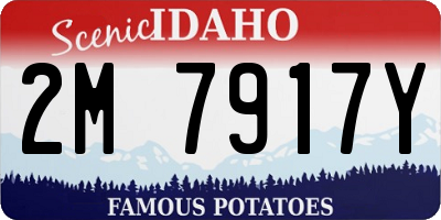 ID license plate 2M7917Y