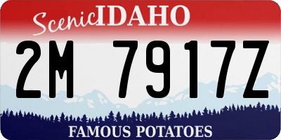 ID license plate 2M7917Z
