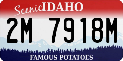 ID license plate 2M7918M