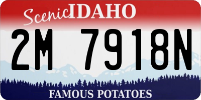 ID license plate 2M7918N