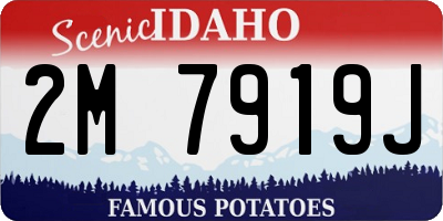 ID license plate 2M7919J