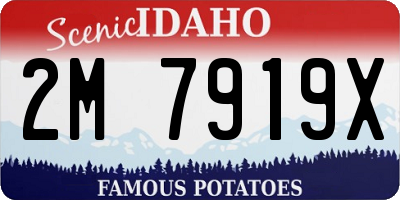 ID license plate 2M7919X