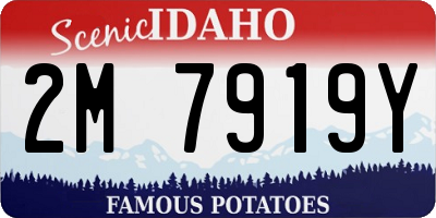 ID license plate 2M7919Y