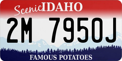 ID license plate 2M7950J