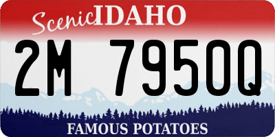 ID license plate 2M7950Q