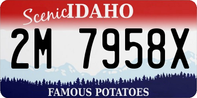 ID license plate 2M7958X