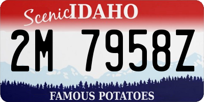 ID license plate 2M7958Z