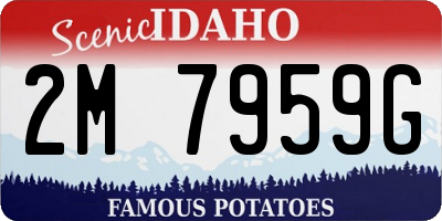 ID license plate 2M7959G